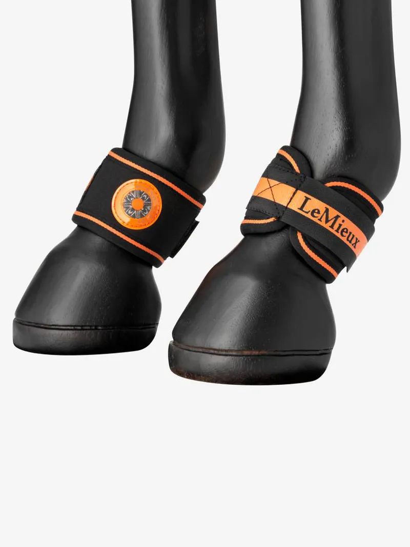 LeMieux Magno Pastern Wraps in Black